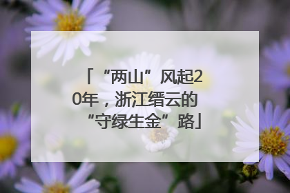 “两山”风起20年，浙江缙云的“守绿生金”路